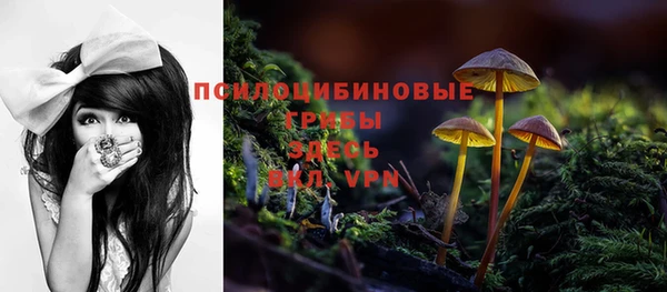 соль ск Абдулино